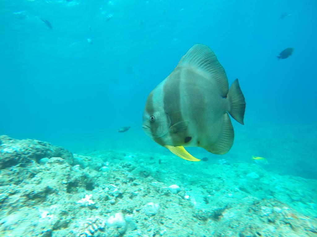מלון אונה Tropical Surf House Okinawa מראה חיצוני תמונה