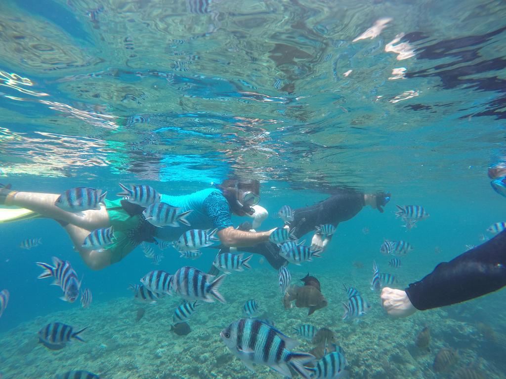 מלון אונה Tropical Surf House Okinawa מראה חיצוני תמונה